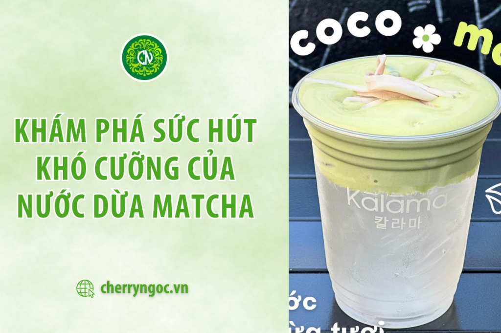 Khám phá sức hút khó cưỡng của nước dừa khi kết hợp cùng matcha