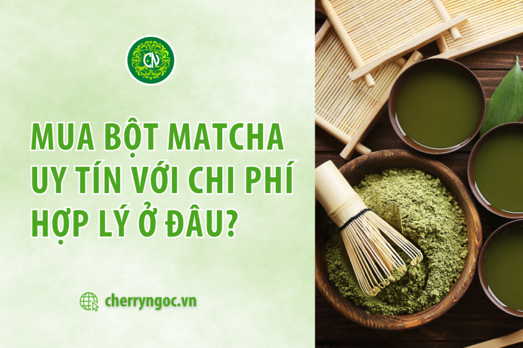 Mua bột matcha uy tín với chi phí hợp lý ở đâu?
