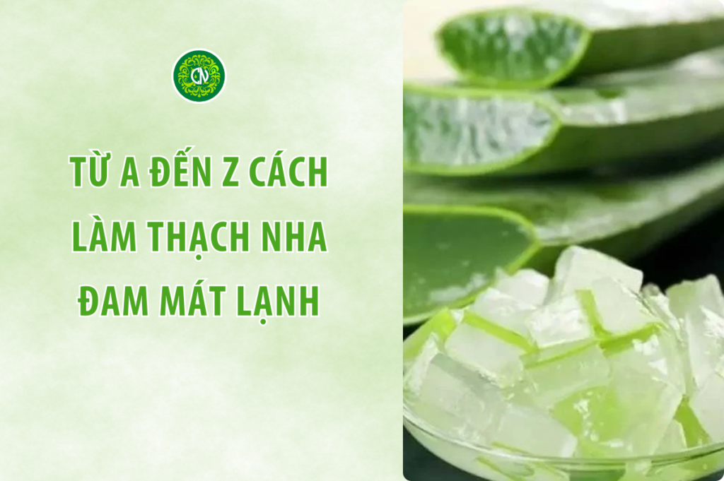 Từ A đến Z Cách Làm Thạch Nha Đam Mát Lạnh