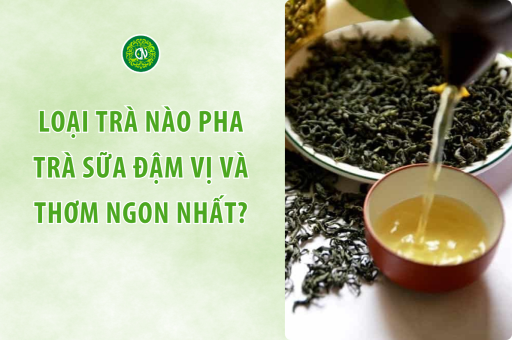 Loại trà nào pha trà sữa đậm vị và thơm ngon nhất? Top 5 loại trà được yêu thích nhất thị trường