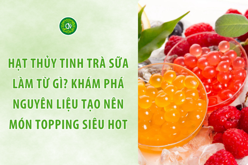 Hạt Thủy Tinh Trà Sữa Làm Từ Gì? Khám Phá Nguyên Liệu Tạo Nên Món Topping Siêu Hot